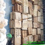 proses-bongkar-muat-mangkupadi-di-palka-kapal proses-bongkar-muat-mangkupadi-di-palka-kapal